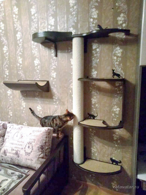 У Oriental есть кошачья мебель.  Радость котенка  Мебельная мастерская для кошек CatAvatar.  Мебель для кошек.